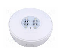 Lamp: LED emergency luminaire; RoundTech; IP65; white; 1.1W; 200lm | RT2SSEO200STF1HIP  | RT2SSEO200STF1HIP