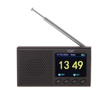 Radio AD1198 | UBADLRPAD119800  | 5905575902009 | AD1198