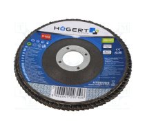 Flap grinding wheels; Ø: 125mm; Øhole: 22.4mm; Granularity: 120 | HT8D055  | HT8D055