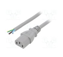 Cable; 3x1mm2; IEC C13 female,cables; PVC; 1m; grey; 10A; 250V | SN31-3/10/1GY | LT-501 H05VV-F 1.0/3C GRY 1M END
