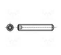 Screw; M3x5; 0.5; Head: without head; hex key; HEX 1,5mm; steel | B3X5/BN30  | 1036858