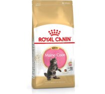 ROYAL CANIN Maine coon FBN Kitten - dry cat food - 400g | AMABEZKAR0614 | 3182550770941 | AMABEZKAR0614