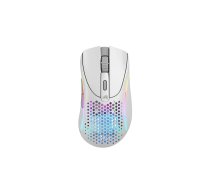 Glorious Gaming Glorious Model D 2 Wireless Gaming-Maus - weiß | GAMO-1227 | 0810069975740 | WLONONWCRCY60