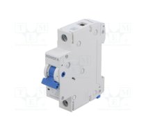 Circuit breaker; 230/400VAC; Inom: 16A; Poles: 1; Charact: C; 10kA | UEB6-63H/C161 | UEB6-63H/C161