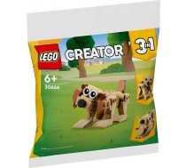 Bricks Creator 30666 Gift Animals 3 in 1 | WPLGPS0UF030666  | 5702017591063 | 30666