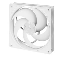 ARCTIC P14 with PWM PST Pressure-Optimised Fan, 4-pin, 140mm, White | ACFAN00197A  | 4895213703116