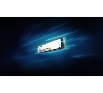 Cietais disks Kingston NV3 500GB | SNV3S/500G | 740617344806