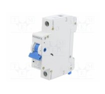 Circuit breaker; 230/400VAC; Inom: 63A; Poles: 1; Charact: C; 10kA | UEB6-63H/C631 | UEB6-63H/C631