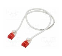 Patch cord; U/UTP; Cat 6; RJ45 plug,both sides; stranded; Cu; 0.5m | GOOBAY-93750 | 93750