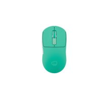 Bezvadu pele Fury Tanto T4 Mint Green | NFU-2205 | 5901969444971