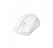 Dicota Wireless Mouse C omfort white | D31659W | 7640239422384 | 375742
