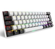 Sharkoon SGK50 S4 keyboard Home USB QWERTZ German White | 4044951041886 | 4044951041886