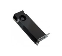 DELL NVIDIA RTX 2000 ADA 16GB LP (4MDP) | DELL-M7X81 | DELL-M7X81