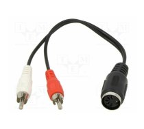 Cable; DIN 5pin plug,RCA plug x2; 0.2m | GOOBAY-50004 | 50004