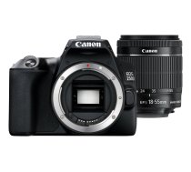 Canon EOS 250D+EF-S 18-55mm SLR Camera Kit 24.1 MP CMOS 6000 x 4000 pixels Black | 3454C002 | 4549292132717 | 994980184