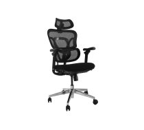 Equip Ergonomic Office Chair with Headrest and Armrests, Black | 492665 | 4015867238646 | WLONONWCRSPX1