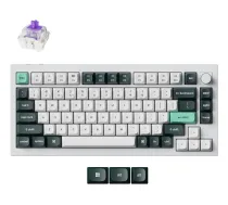 KEYBOARD WRL Q1 HE RGB/SHELL WHITE Q1H-P1 KEYCHRON | Q1H-P1 | 4895248871354 | KL-G-KCHR-009