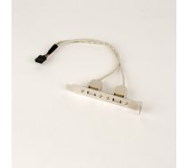 Bracket 2xUSB 2.0 | CCUSBRECEPTACLE | 8716309011174 | AKGEM003010