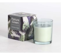 Aromatiska svece stikla NATURE GREEN H9,5cm, Southern Night | 88137  | 4741243881372