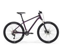 Big Seven 300 (Violeta / Melna, 15" / S) | 6110881515006 | 6110881515006