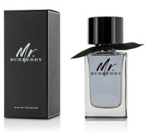 Burberry, Mr. Burberry, Eau De Toilette, For Men, 100 ml | 0803|5045456747685 | 5045456747685 | 33030010