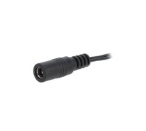 Cable; 2x0.5mm2; wires,DC 5,5/2,1 socket; straight; black; 0.23m | DC.CAB.2000.0025E