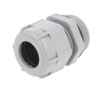 Cable gland; PG21; IP68; polyamide; dark grey | BM4321  | BM4321