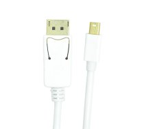 Cable mini DisplayPort - DisplayPort, 1m | CA911868  | 9990000911868