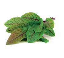 Click & Grow Smart Garden refill Bloody Sorrel 3pcs 4742793007496 | 4742793007496  | 4742793007496