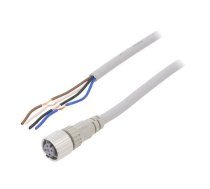 Connection lead; M12; PIN: 4; straight; 10m; plug; 250VAC; 4A; XS5F | XS5FD421J80F  | XS5F-D421-J80-F