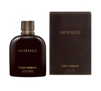 Dolce & Gabbana Pour Homme Intenso Smaržas EDP 200 ml | 3423473020851 | 3423473020851