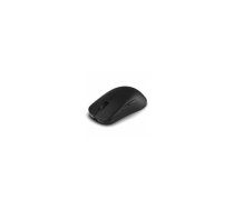 Endgame Gear OP1w v2 Wireless Gaming Mouse, 4000Hz | GAMO-1292 | 4251442513214 | WLONONWCRMTWI