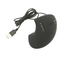 Gembird MUSW-ERGO-01 Ergonomic Wireless Black | MUSW-ERGO-01 | 8716309104876