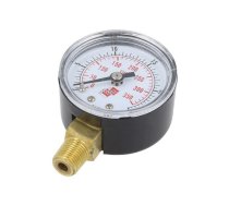 Manometer; 0÷25bar; non-aggressive liquids,inert gases; 40mm | M40R.PL025G18  | M40R.PL025G18