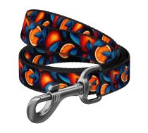 Nylon dog leash, pattern ''Oranges'' length 122 cm Waudog | 341-4054 | 4823089376363 | 071072