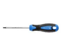 Skrūvgriezis Torx T20, 100 mm, S2 tērauds | HT1S055