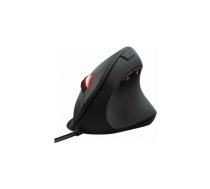 Trust GXT 144 Rexx Datorpele | 22991 | 8713439229912