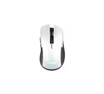 Trust GXT 923W YBAR Bezvadu Datorpele | 24889 | 8713439248890