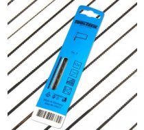 Zāģa asmeņi 12gb