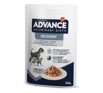 ADVANCE VETERINARY DIETS DOG & CAT RECOVERY 100gr - pilnvērtīga diētiskā barība, konservi suņiem un kaķiem atveseļošanas procesā