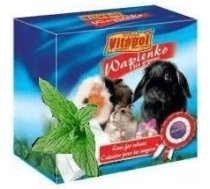 MINERAL BLOCK with peppermint for rodents and rabbit 1pc 40g - Vitapol minerālu akmens ar piparmētru