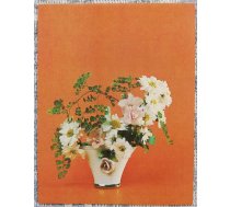 Ziedi 1984 Margrietiņas 7x9 cm MINI PSRS pastkarte