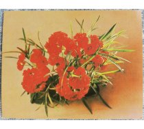 Ziedi 1984 MINI 9x7 cm PSRS pastkarte