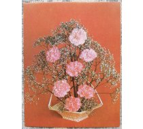 Ziedi 1989 Rozā neļķes 7x9 cm MINI PSRS pastkarte