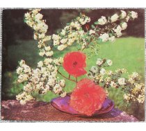 Ziedi 1987 Sarkanās magones un vilkābele 9x7 cm MINI PSRS pastkarte