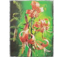 Ziedi 1985 Lilijas 7x9 cm MINI PSRS pastkarte
