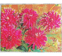 Ziedi 1985 Dālijas 9x7 cm MINI PSRS pastkarte