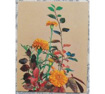 Ziedi 1983 Kliņģerīte 7x9 cm MINI PSRS pastkarte