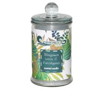 Aromātiska svece 11,3cm Essence Living Bergamot & Eucalyptus