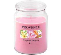 Provence Aromātiskā svece stikla traukā 14cm Tropiskie ziedi